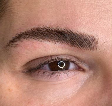 Sprinter Van Interior