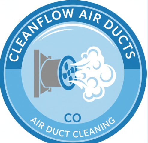 CleanFlow Air Ducts