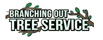 Greens Care Tree & Removal Farmingville