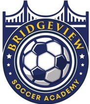 Bridgeview Soccer Academy Logo